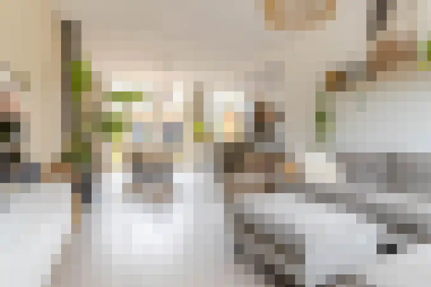 Dierenriemstraat 80 Groningen thumbnail 14