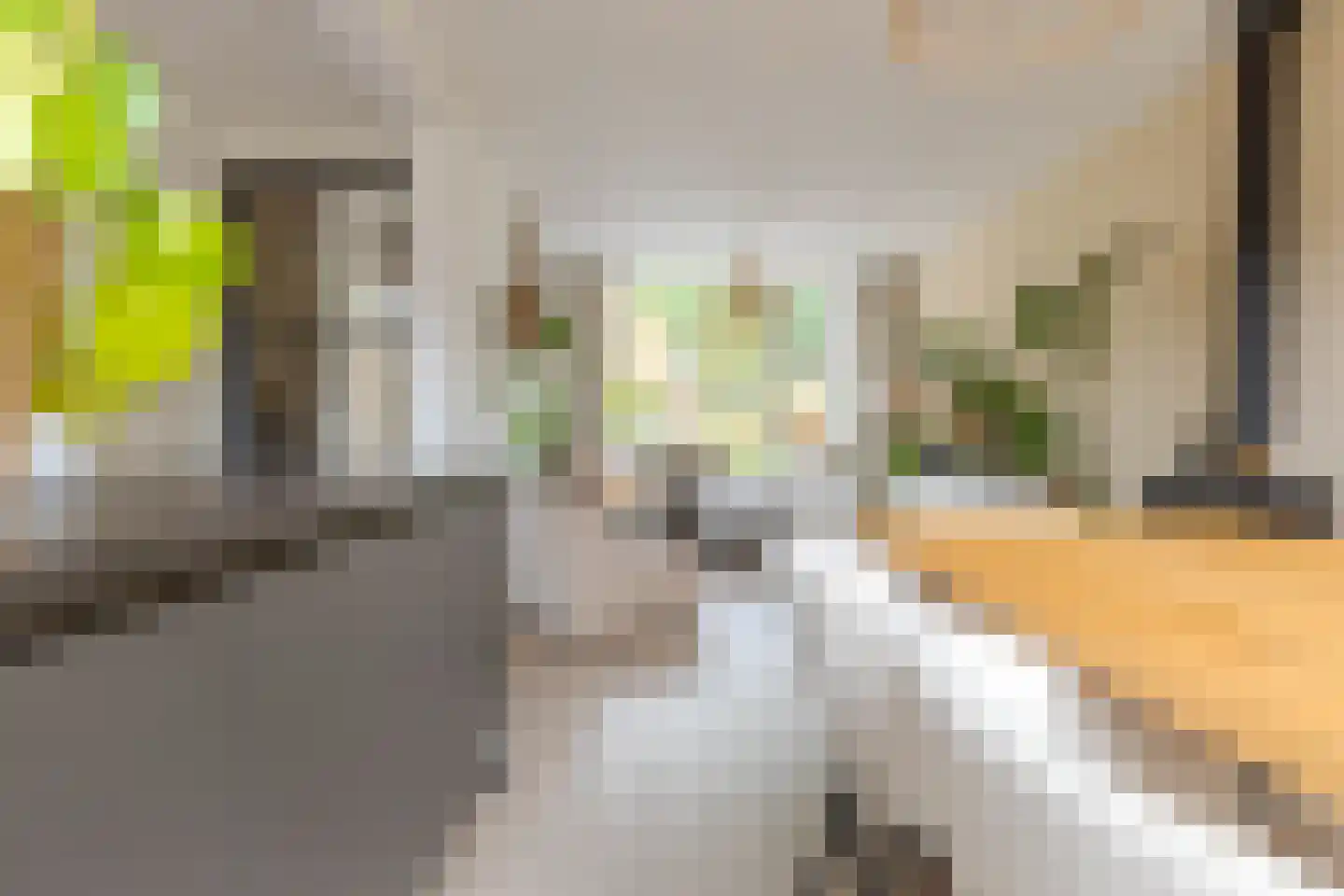 Dierenriemstraat 80 Groningen thumbnail 15