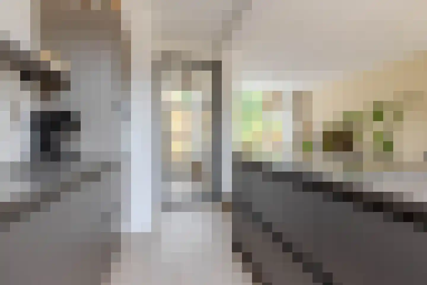 Dierenriemstraat 80 Groningen thumbnail 18