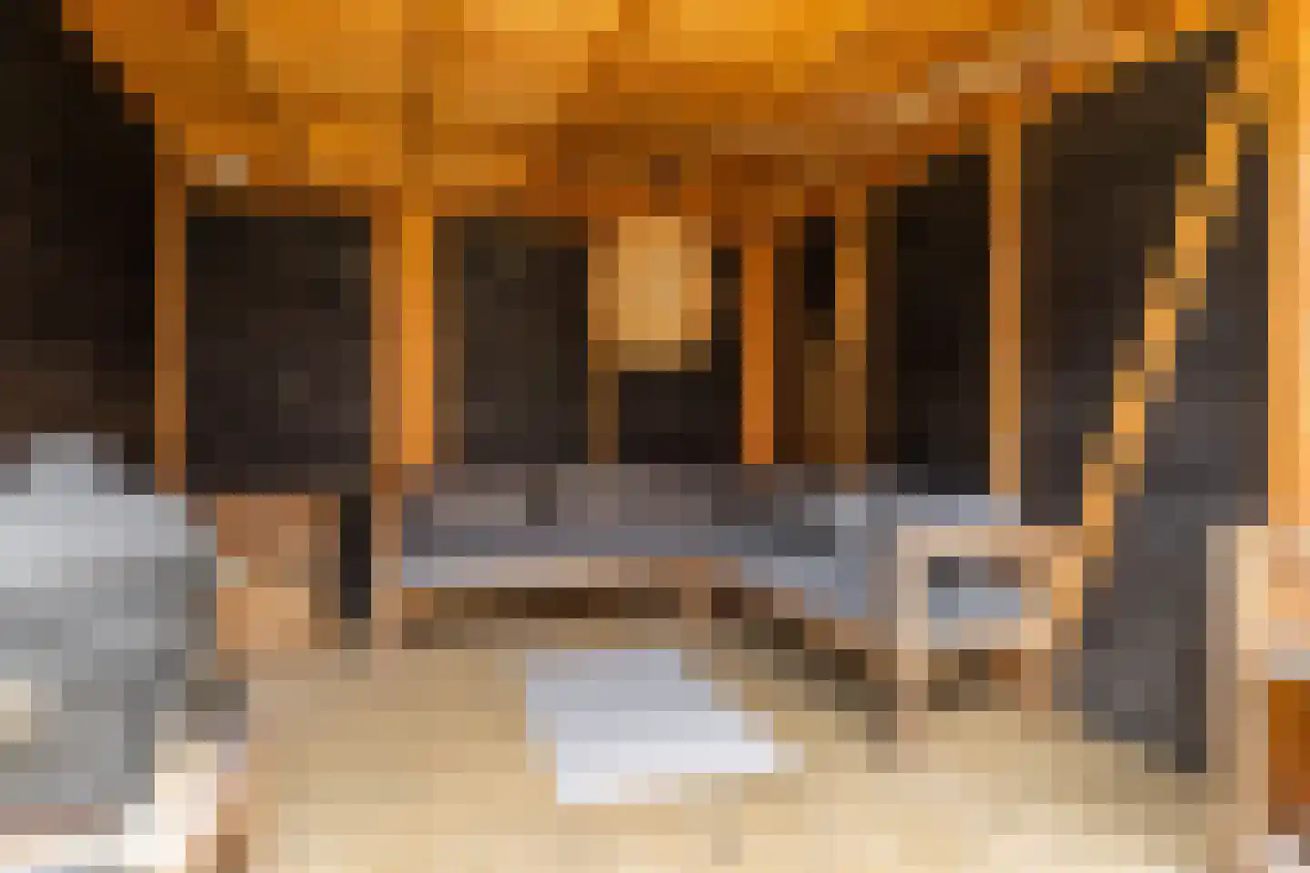 Dierenriemstraat 80 Groningen thumbnail 35
