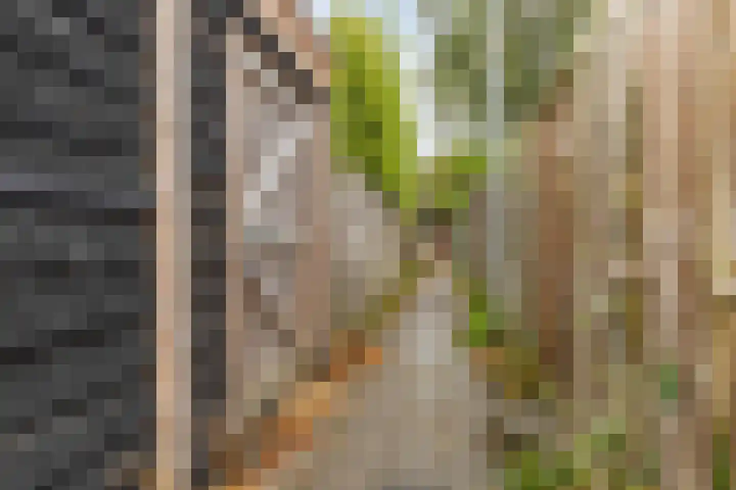 Dierenriemstraat 80 Groningen thumbnail 36