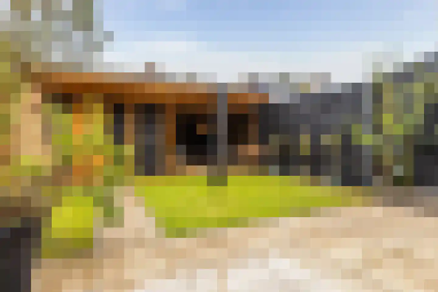 Dierenriemstraat 80 Groningen thumbnail 5