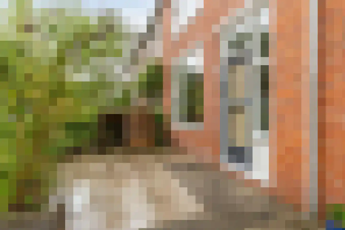 Dierenriemstraat 80 Groningen thumbnail 8