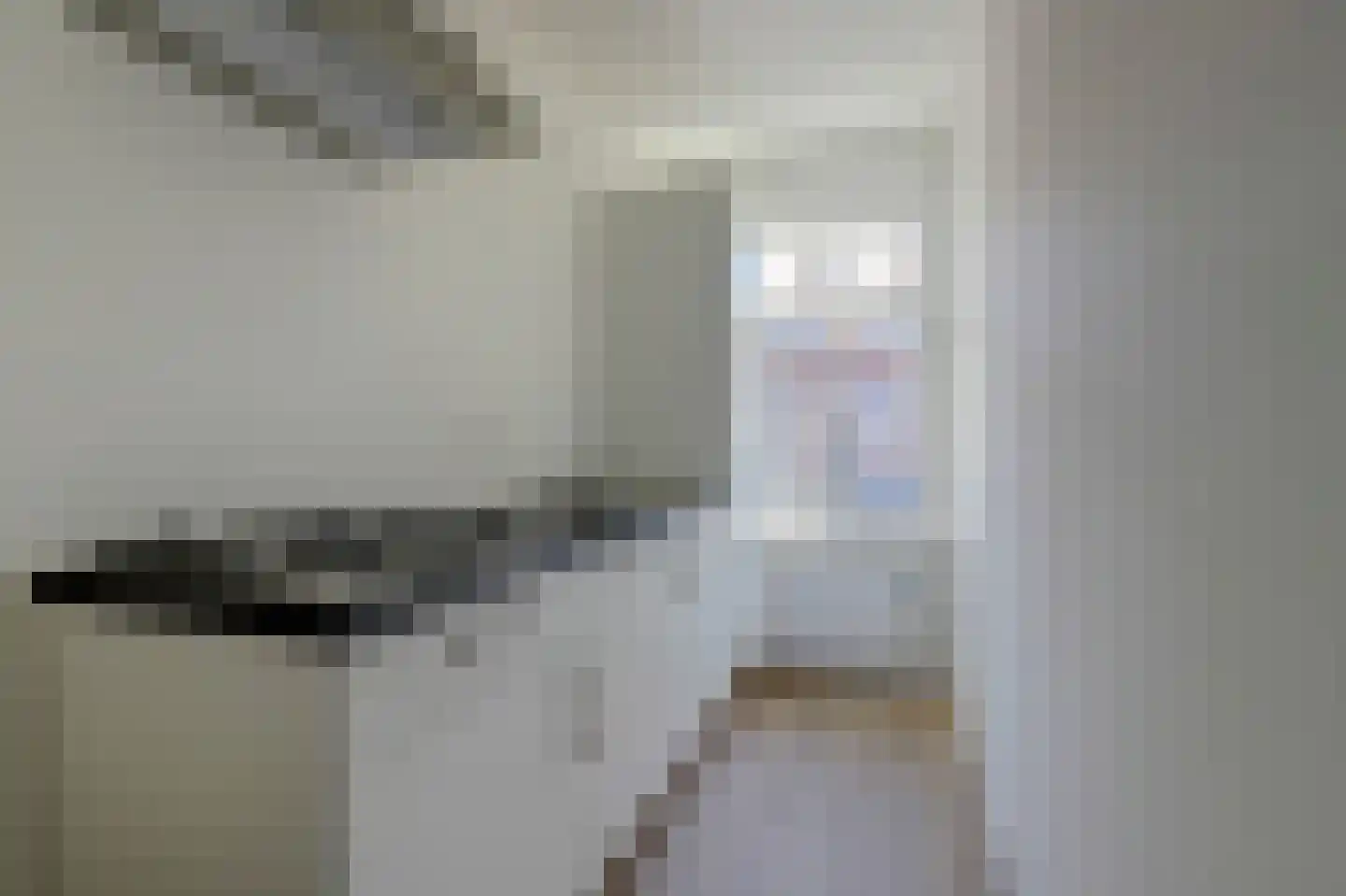 Dierenselaan 123 Den Haag thumbnail 5