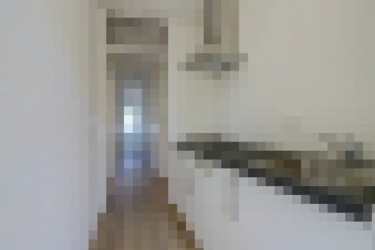 Dierenselaan 123 Den Haag thumbnail 6