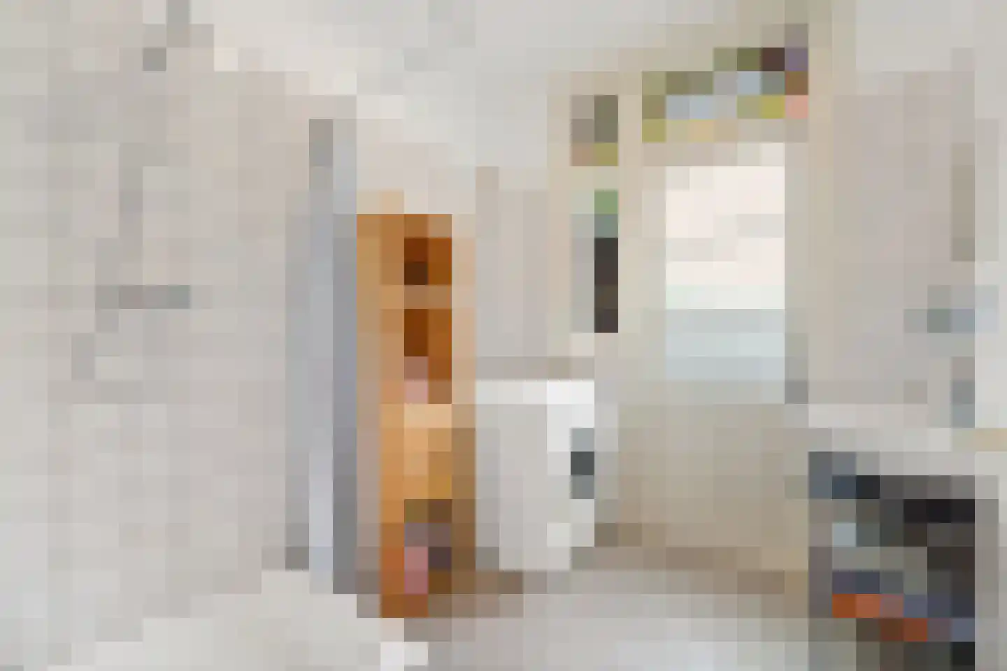 Dierenselaan 136 Den Haag thumbnail 15