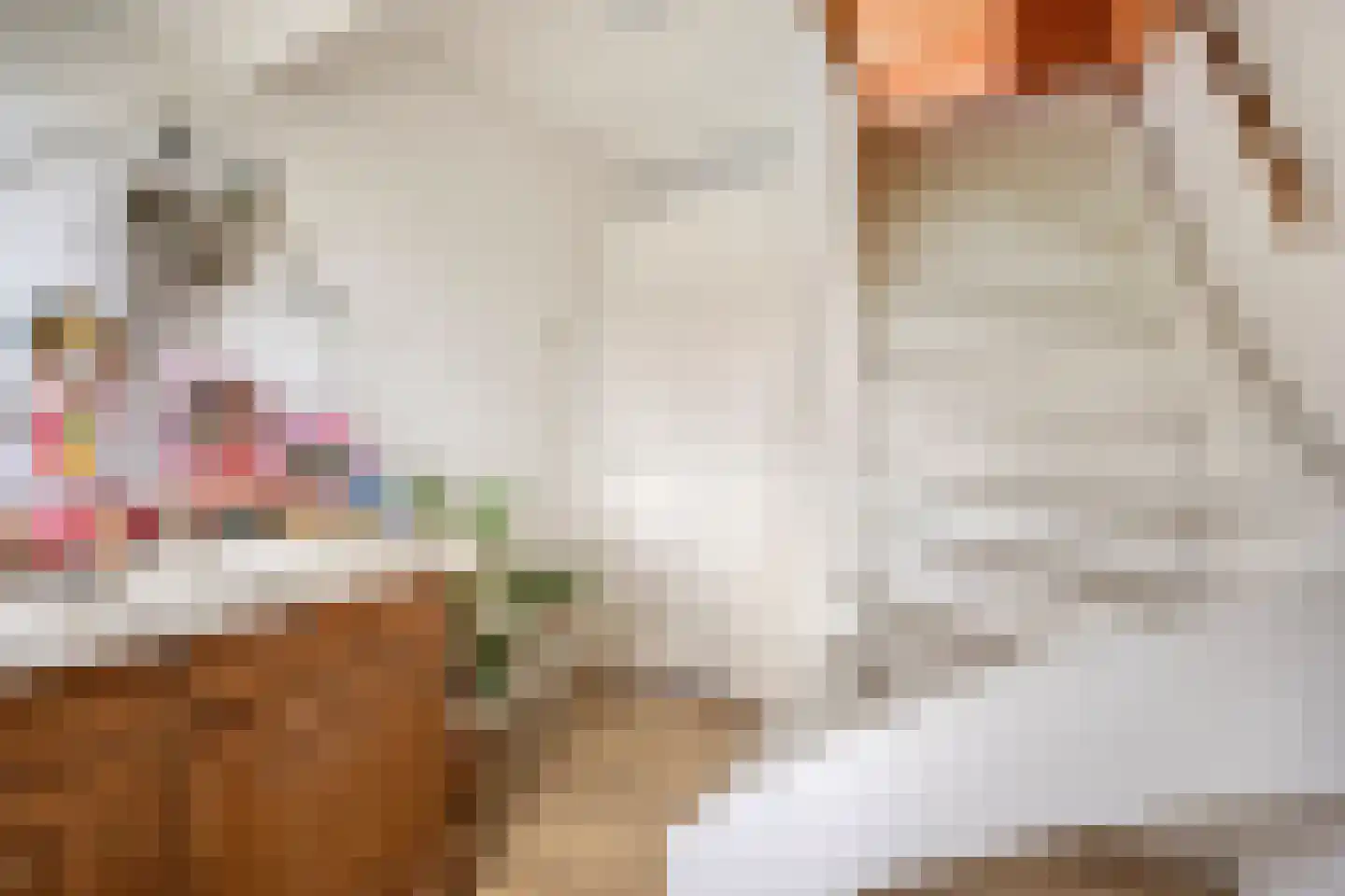 Dierenselaan 142 Den Haag thumbnail 36