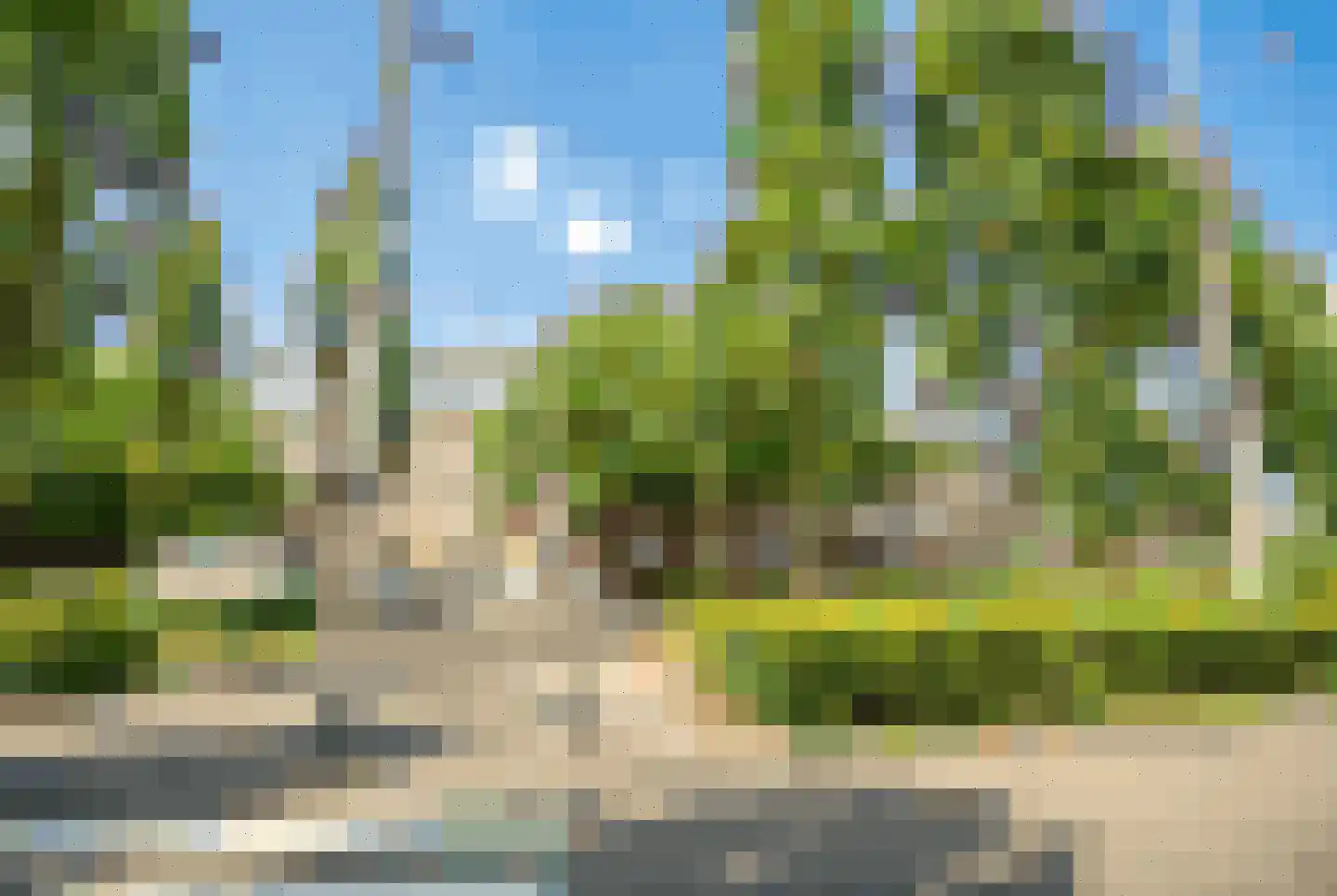 Dierenselaan 187 Den Haag thumbnail 14