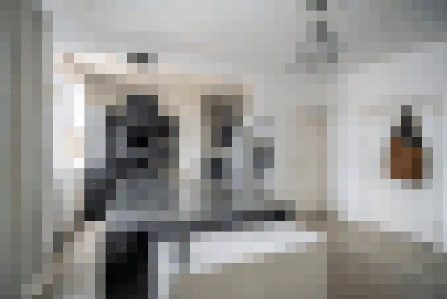 Dierenselaan 187 Den Haag thumbnail 8