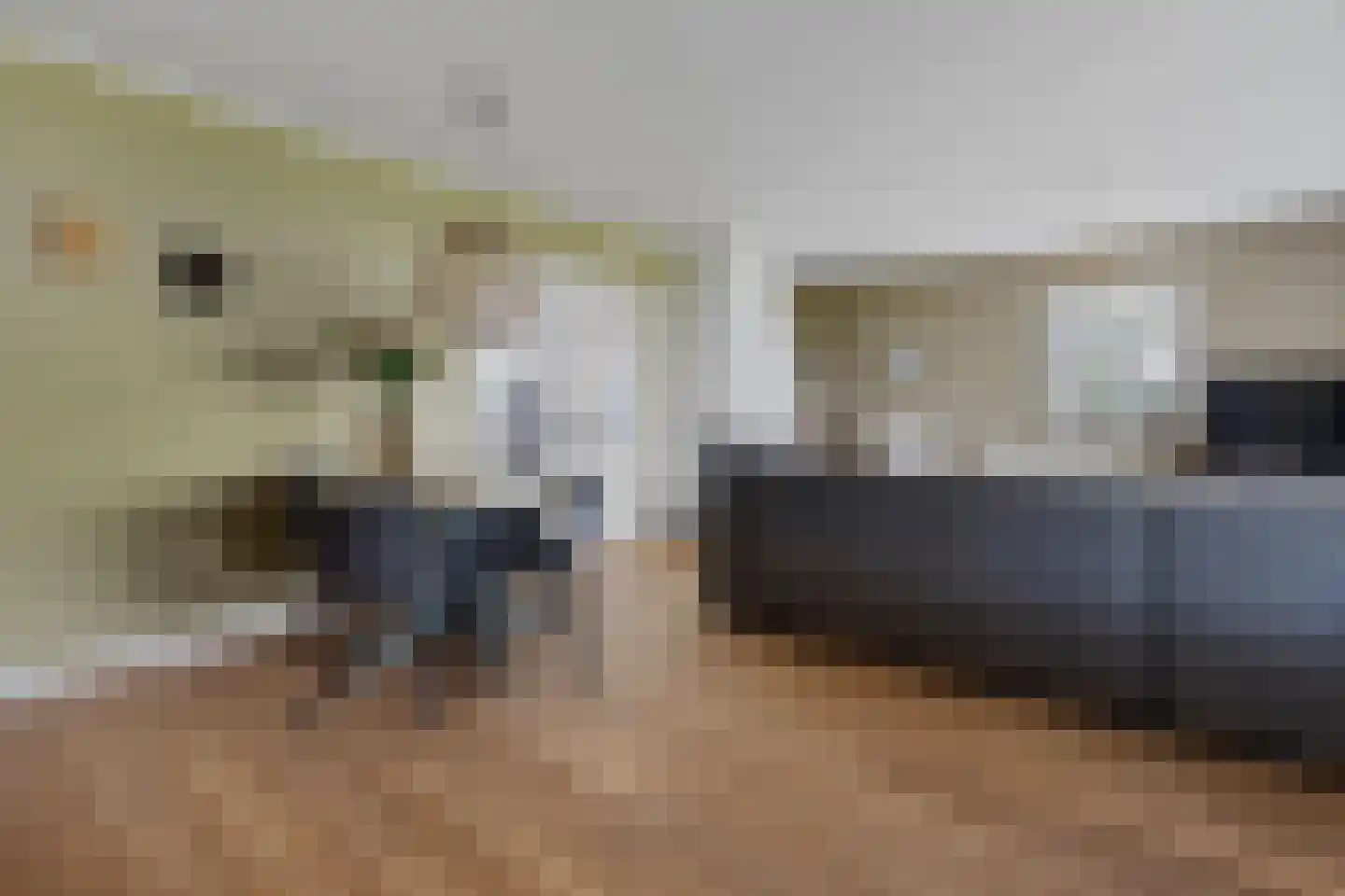 Dierenseweg 4 Olburgen thumbnail 11