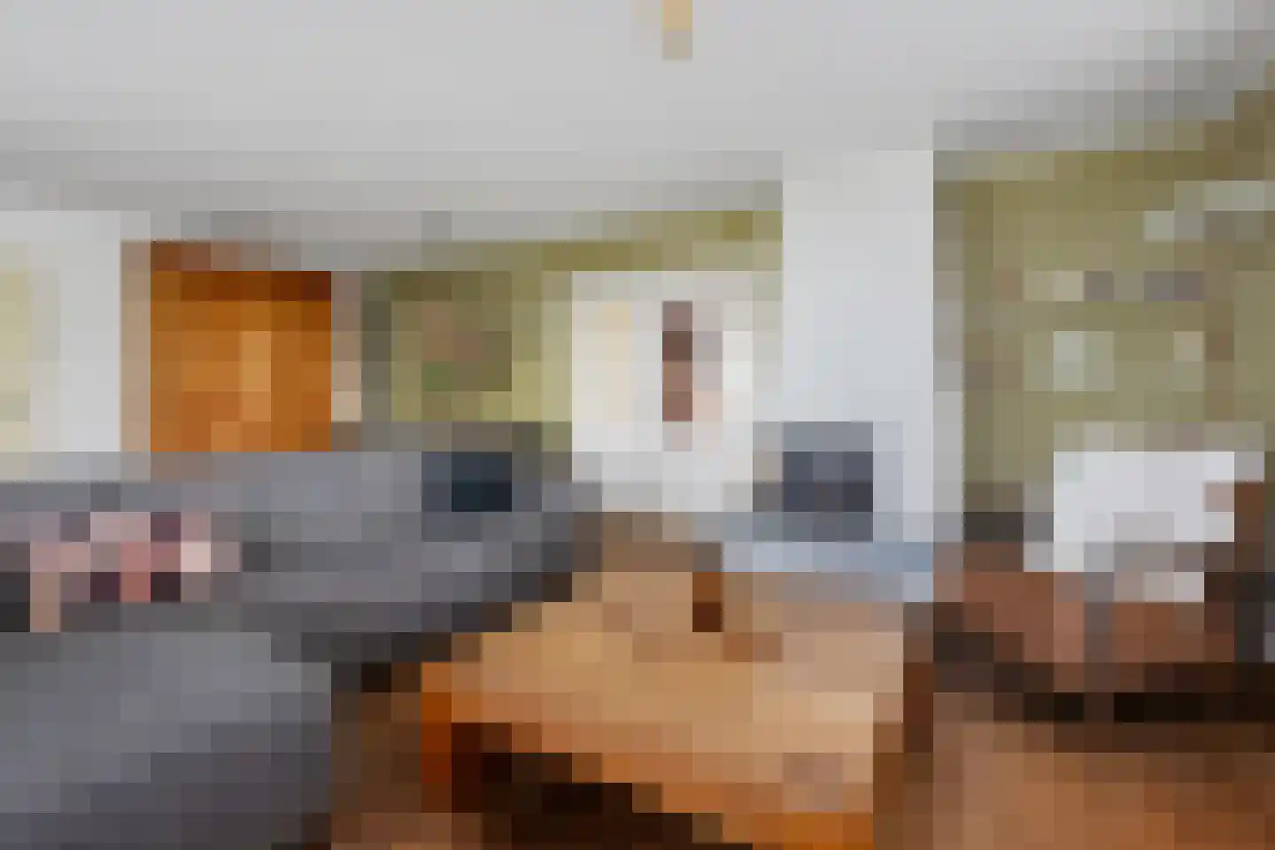 Dierenseweg 4 Olburgen thumbnail 13
