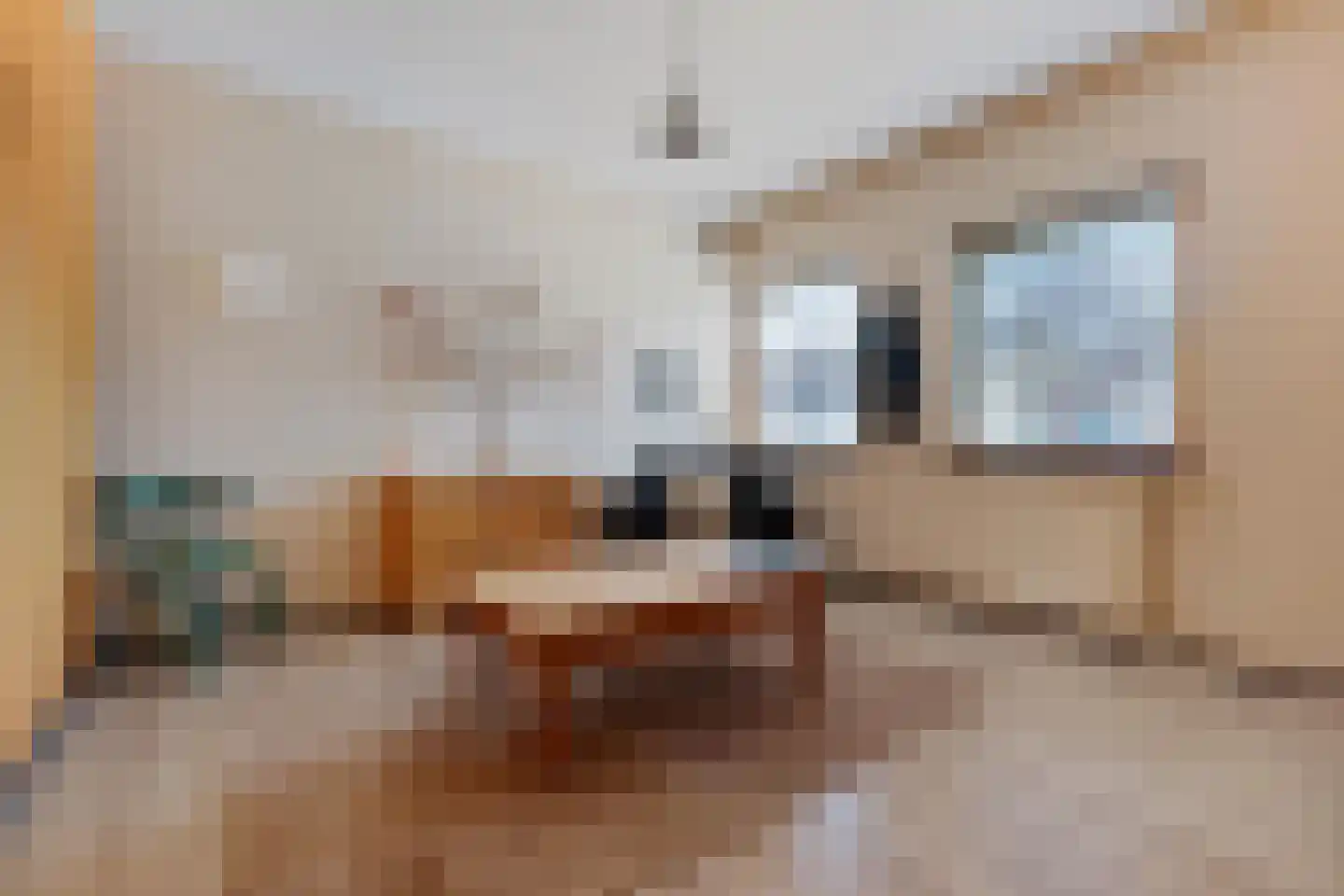 Dierenseweg 4 Olburgen thumbnail 20
