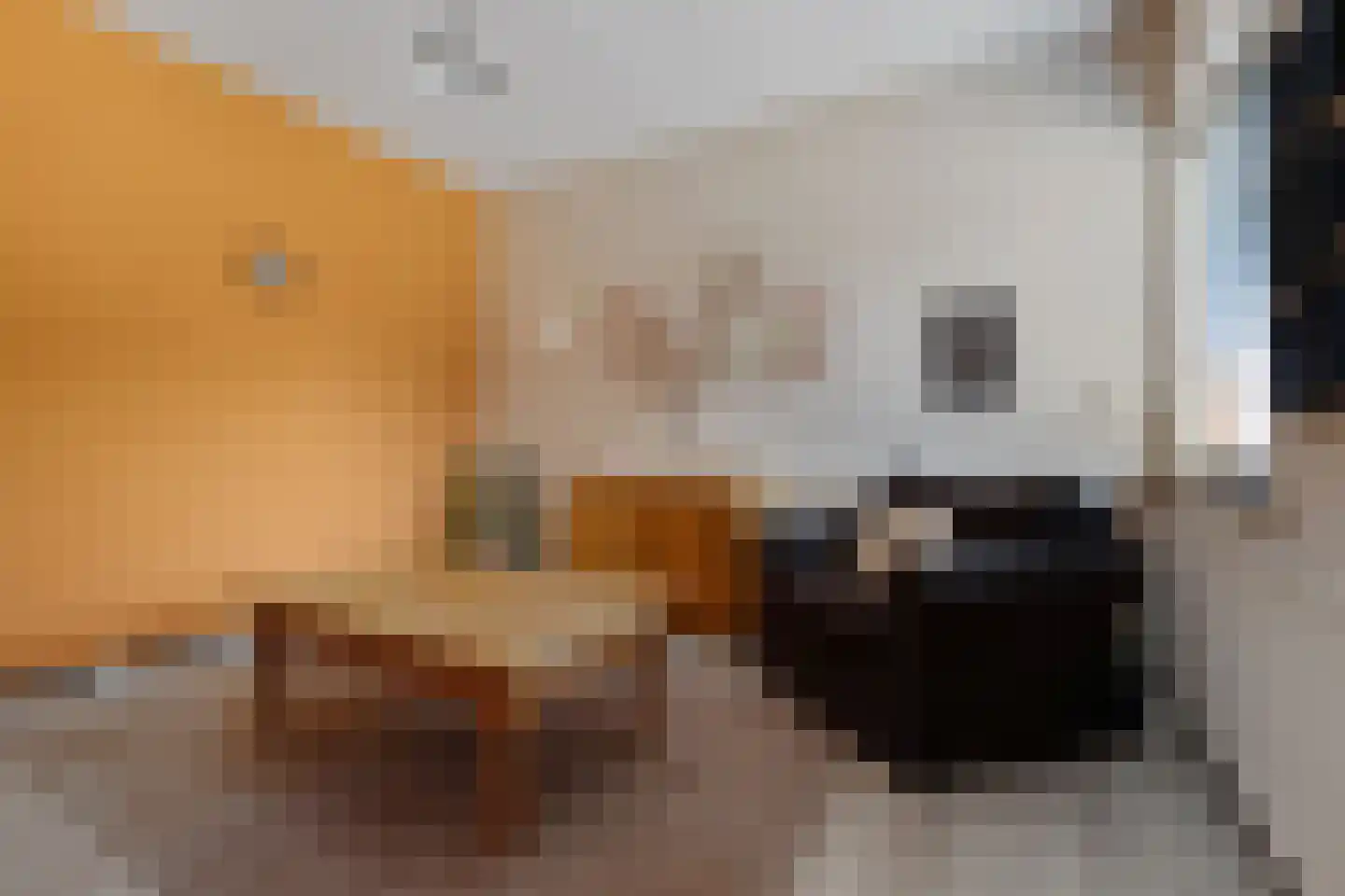 Dierenseweg 4 Olburgen thumbnail 21