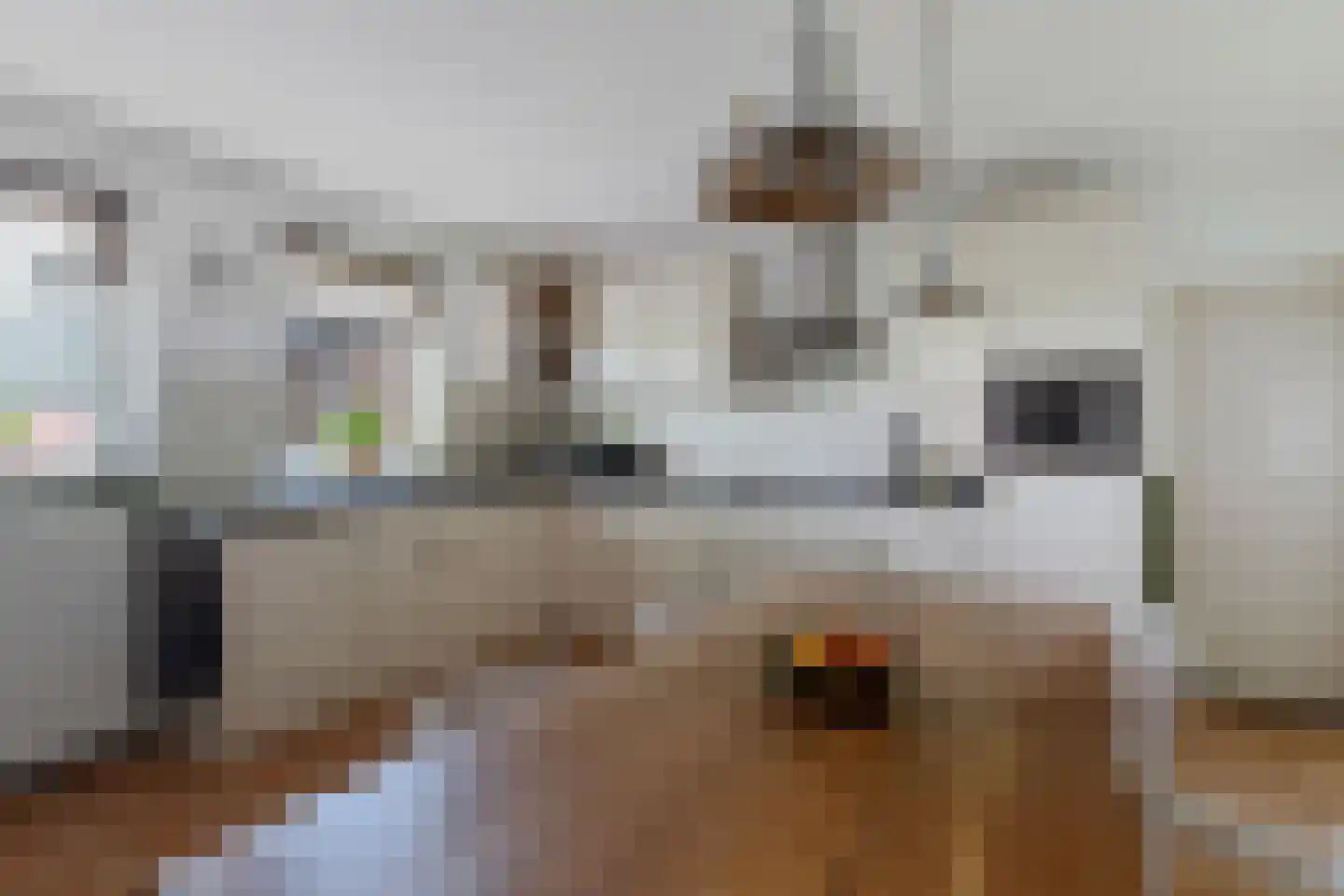 Dierenseweg 4 Olburgen thumbnail 22