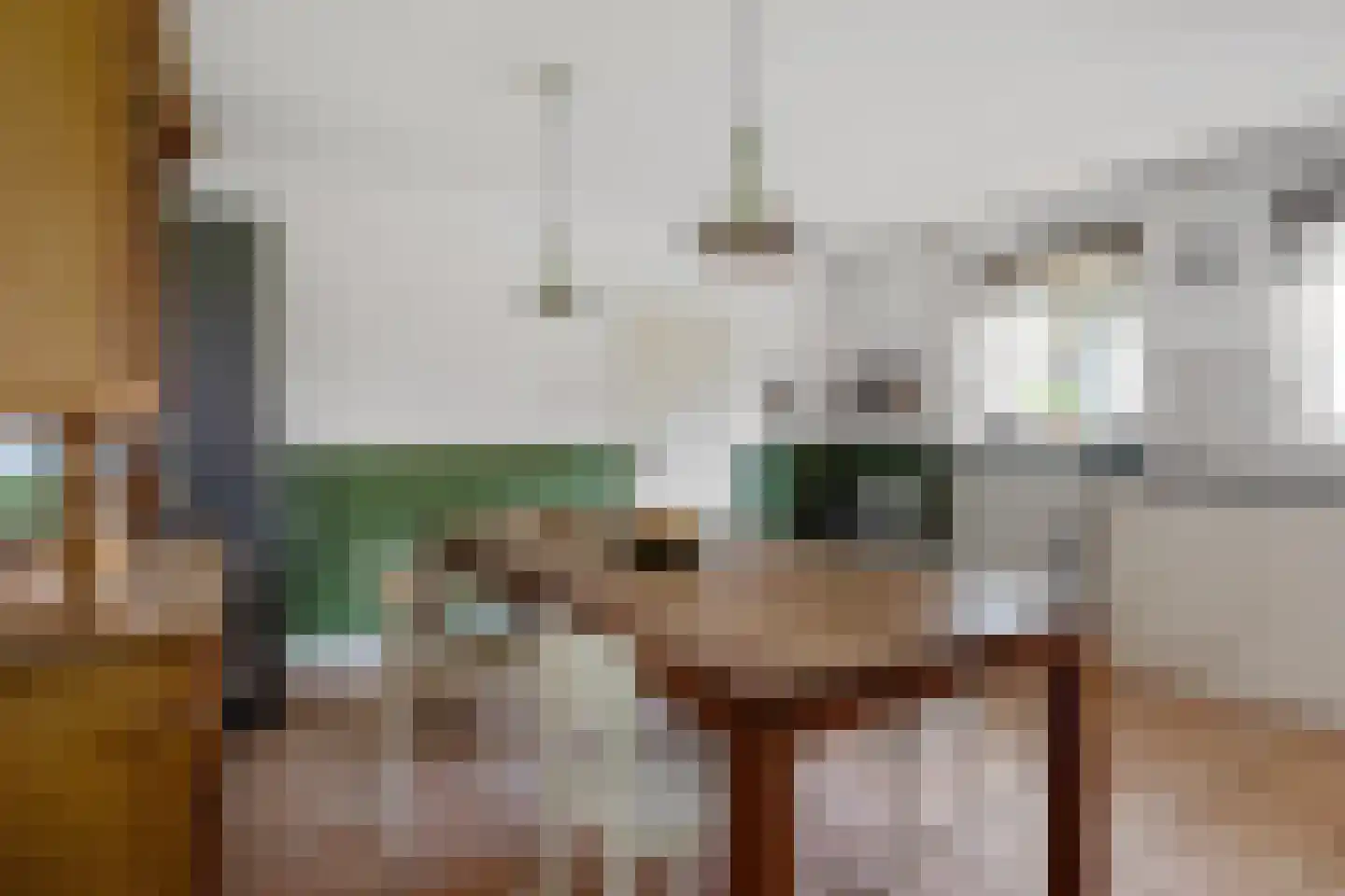Dierenseweg 4 Olburgen thumbnail 23