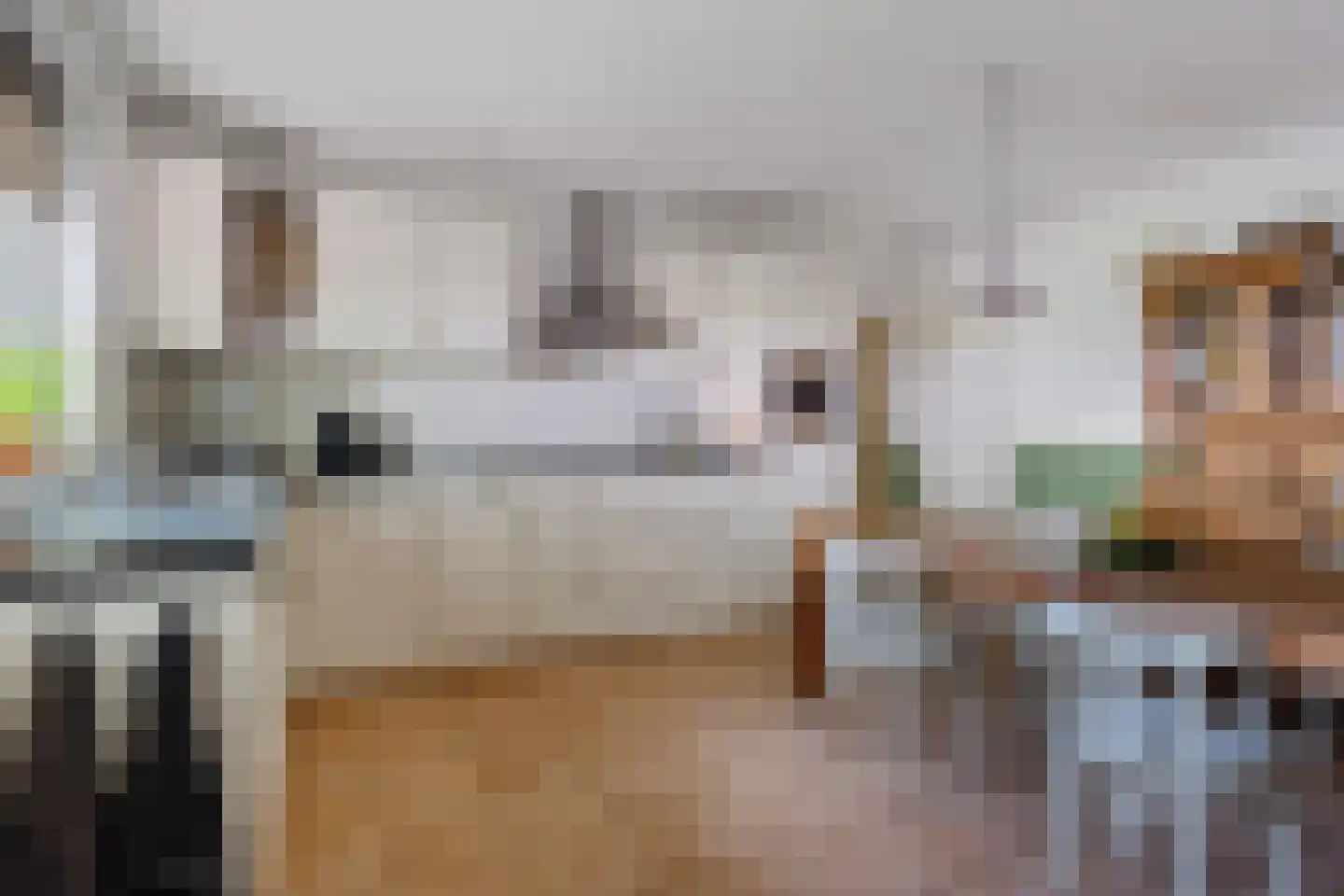 Dierenseweg 4 Olburgen thumbnail 24