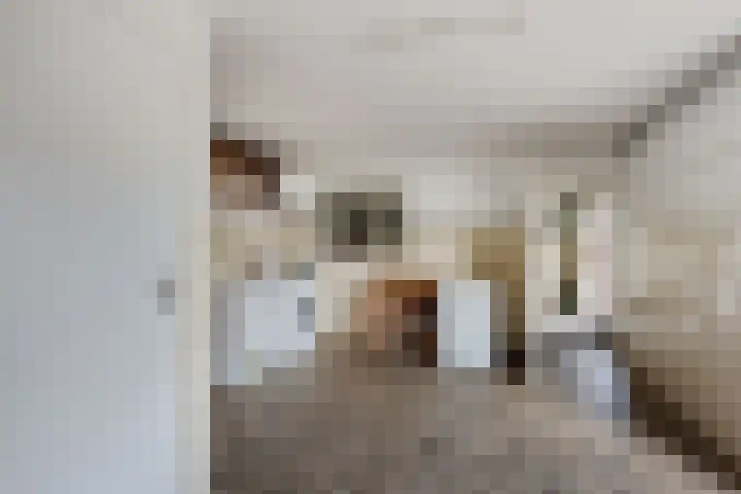 Dierenseweg 4 Olburgen thumbnail 27