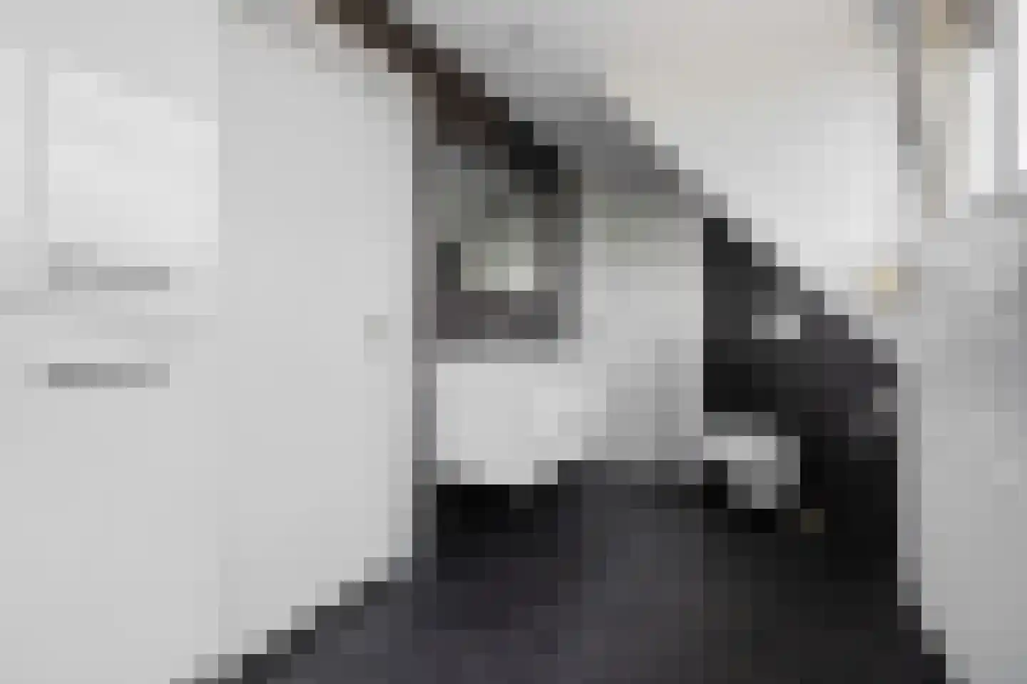 Dierenseweg 4 Olburgen thumbnail 31