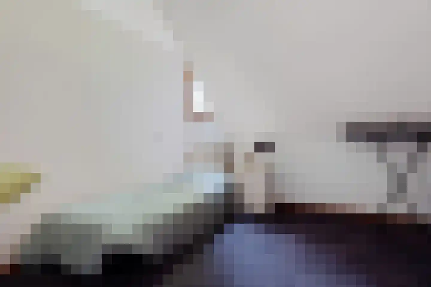 Dierenseweg 4 Olburgen thumbnail 34
