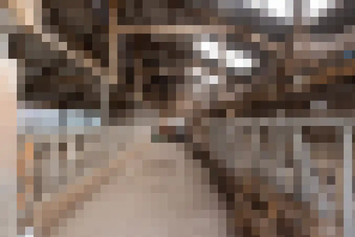 Dierenseweg 4 Olburgen thumbnail 41
