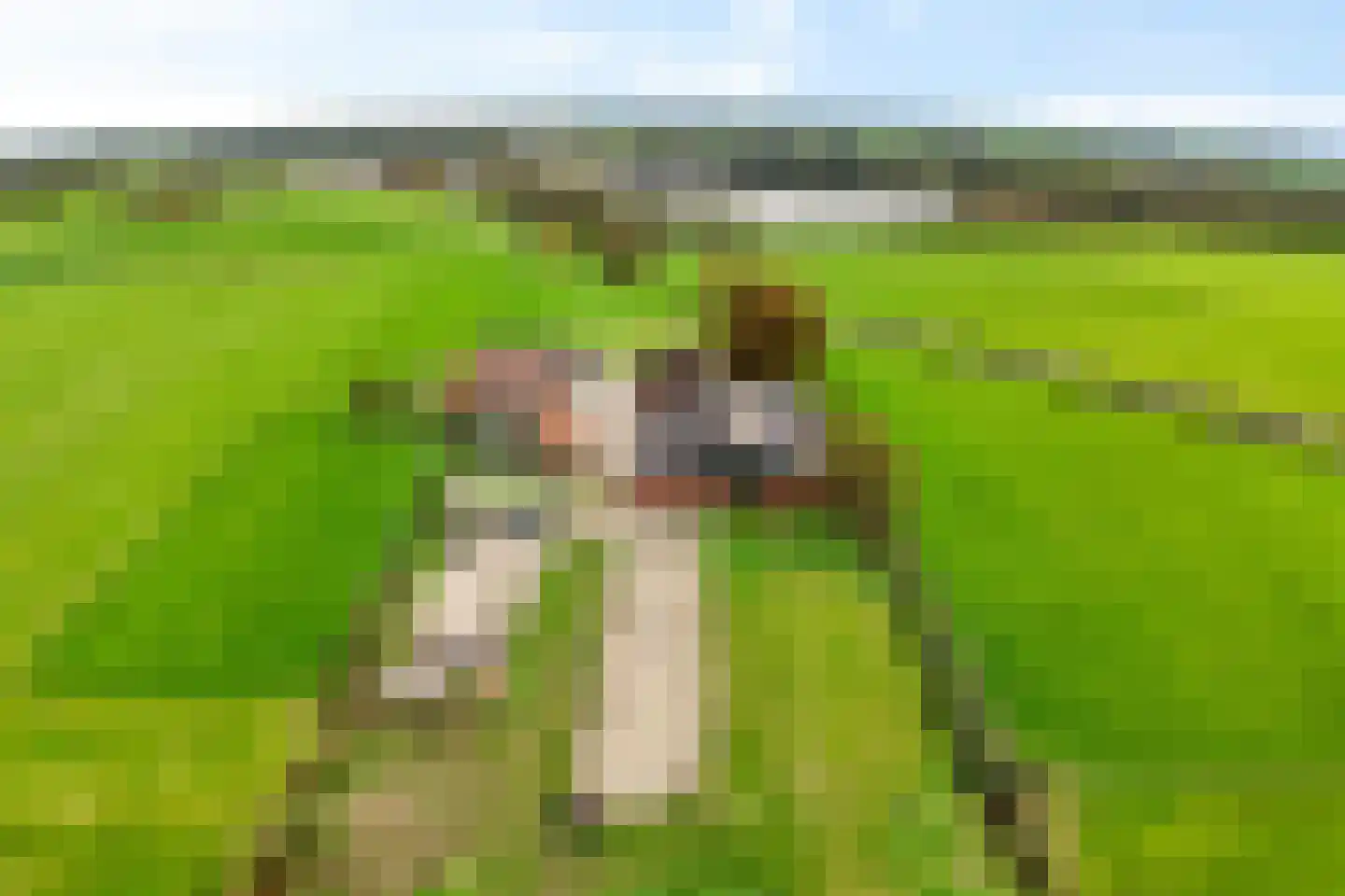 Dierenseweg 4 Olburgen thumbnail 42