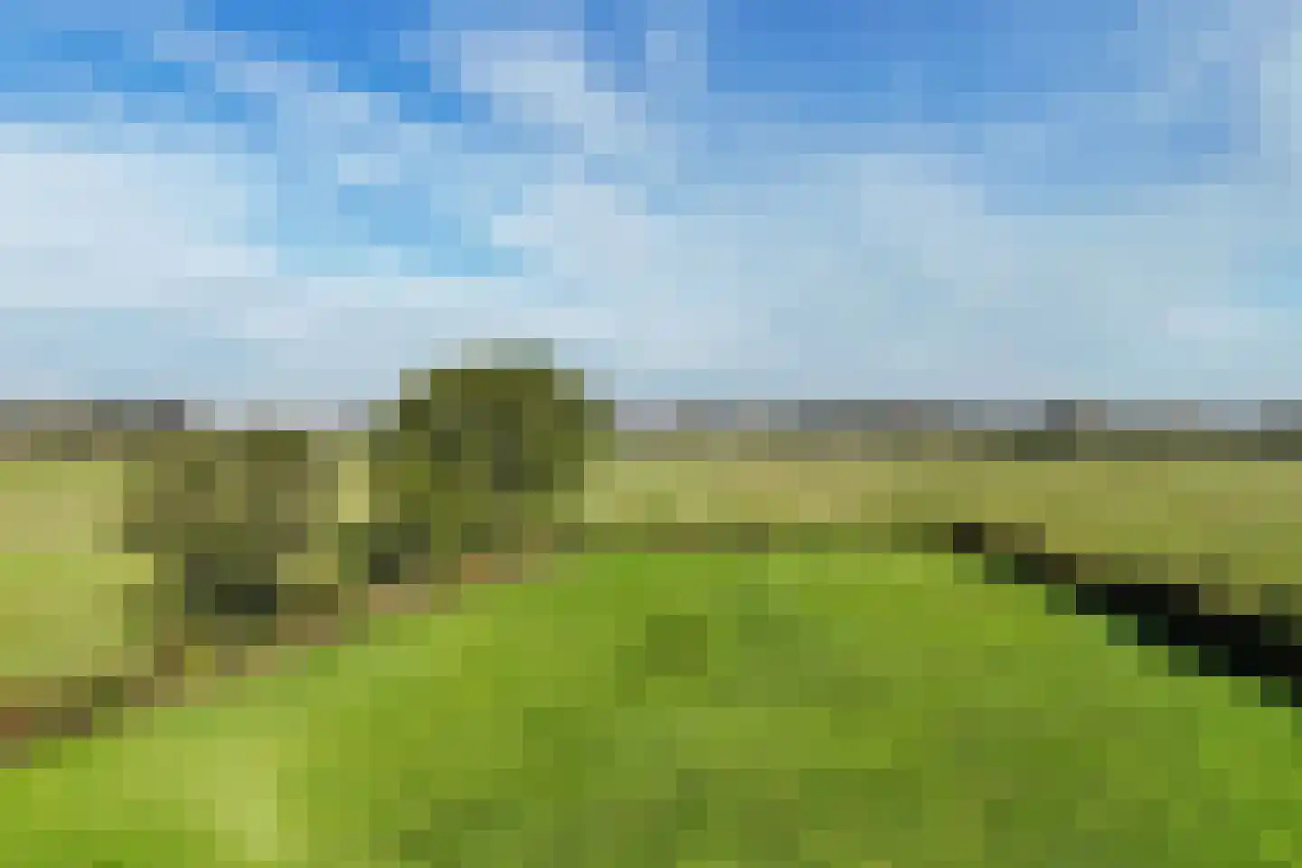 Dierenseweg 4 Olburgen thumbnail 44