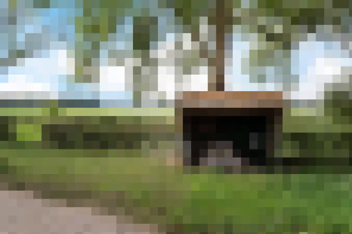 Dierenseweg 4 Olburgen thumbnail 9