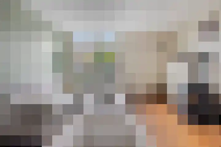Dierenstraat 34 Rotterdam thumbnail 4