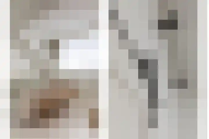 Dierenstraat 38 Rotterdam thumbnail 24
