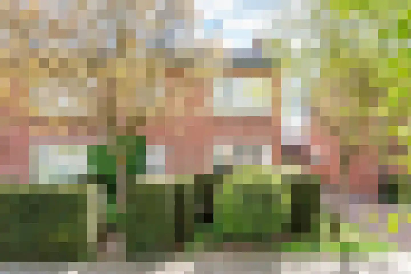 Diergaarde 10 in Ulft