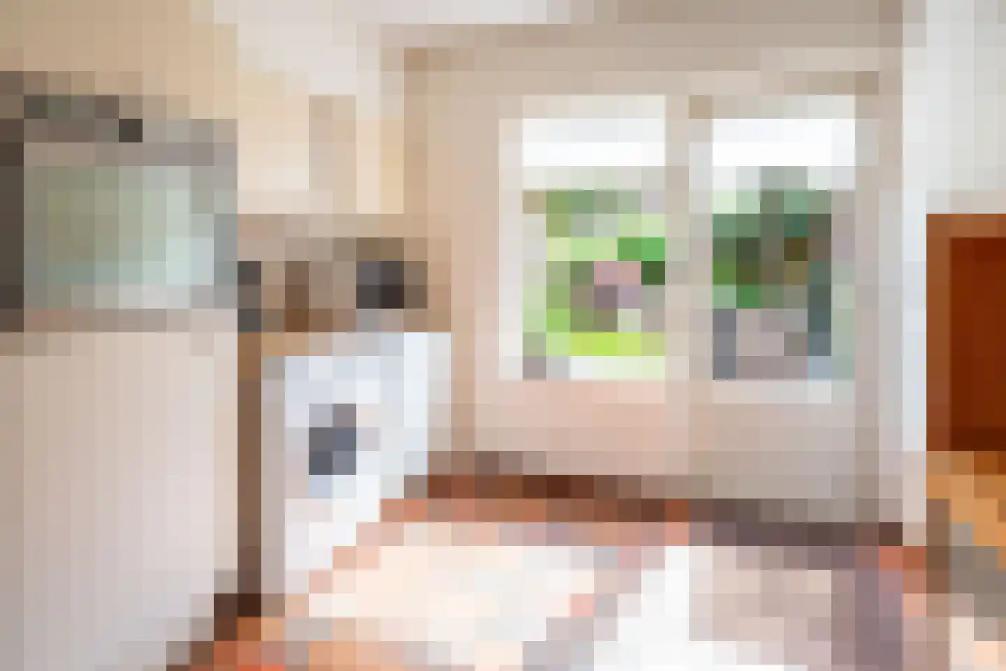 Diergaarde 10 Ulft thumbnail 12