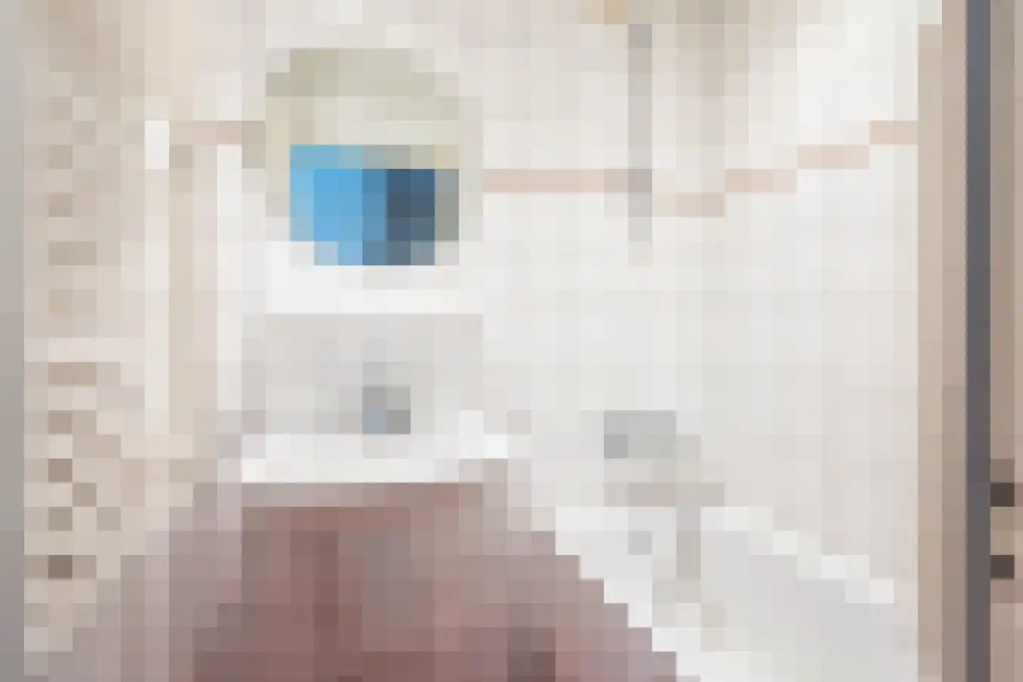 Diergaarde 10 Ulft thumbnail 16