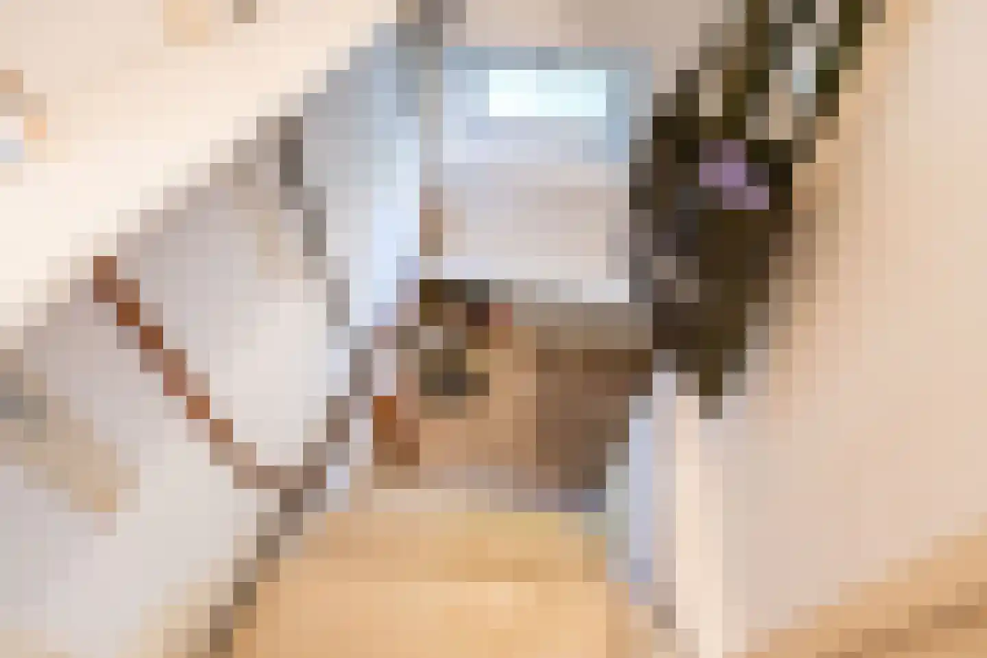 Diergaarde 10 Ulft thumbnail 17