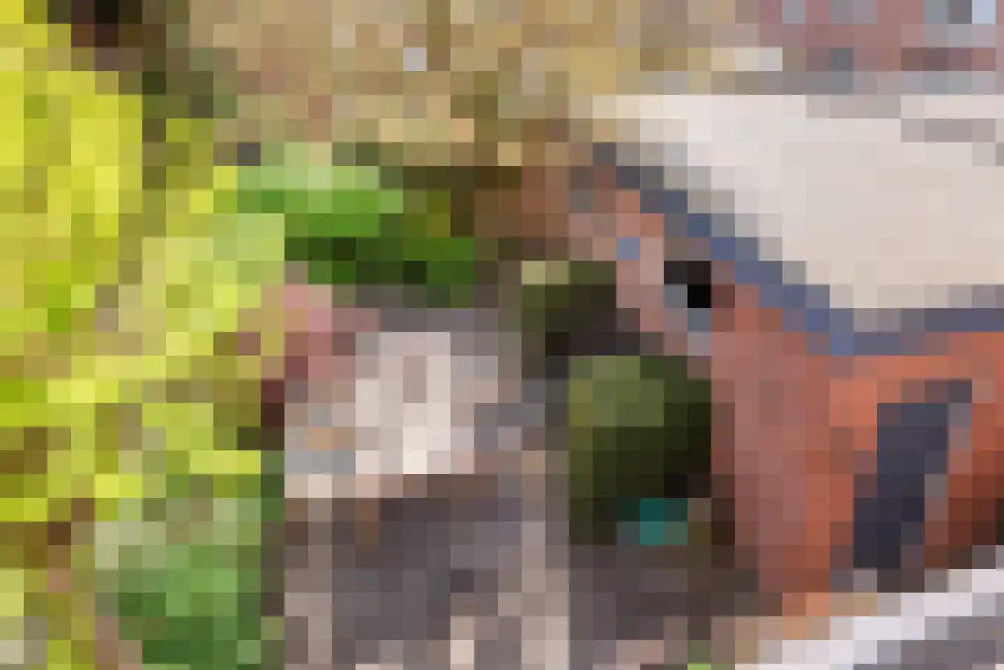 Diergaarde 10 Ulft thumbnail 23