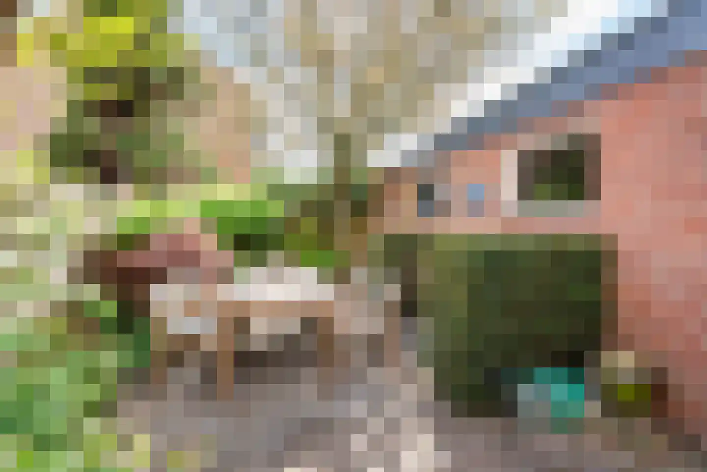 Diergaarde 10 Ulft thumbnail 31