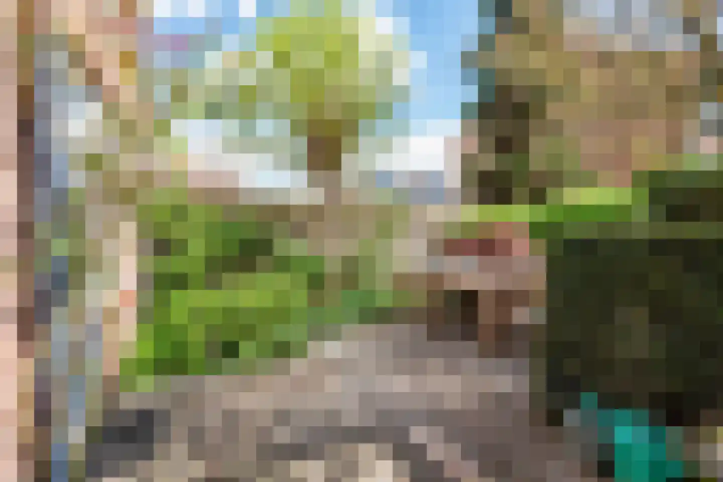 Diergaarde 10 Ulft thumbnail 32