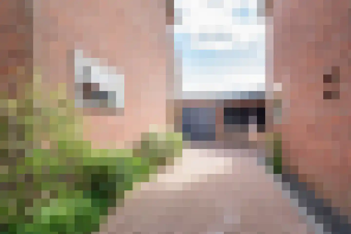 Diergaarde 10 Ulft thumbnail 36