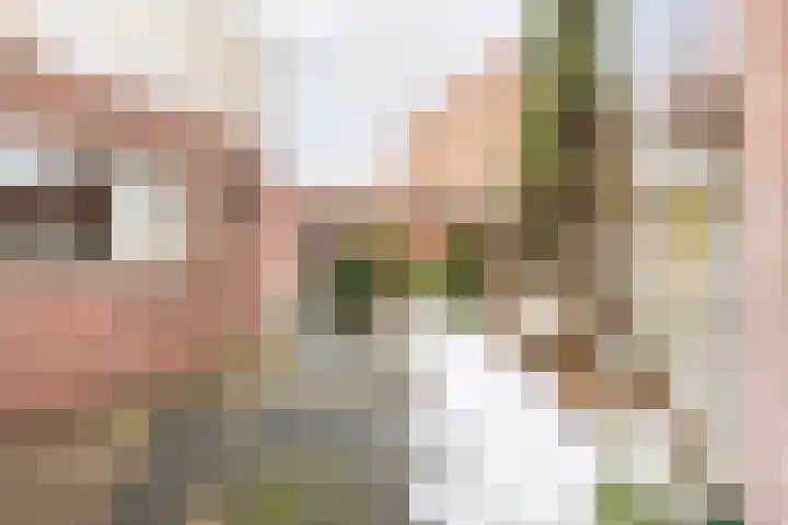 Diergaarde 12 Ulft thumbnail 33
