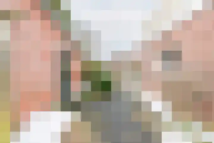 Diergaarde 12 Ulft thumbnail 36