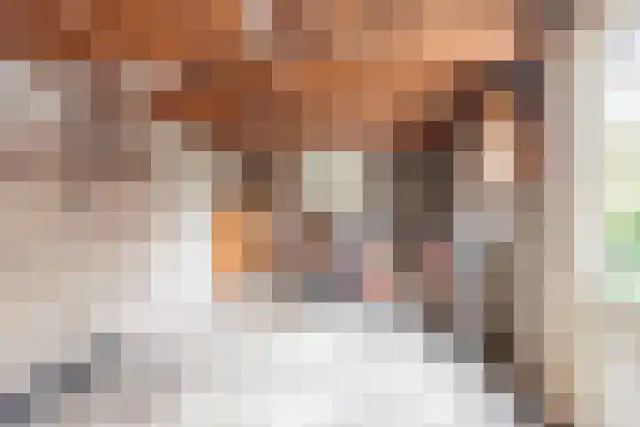 Diergaarde 12 Ulft thumbnail 38
