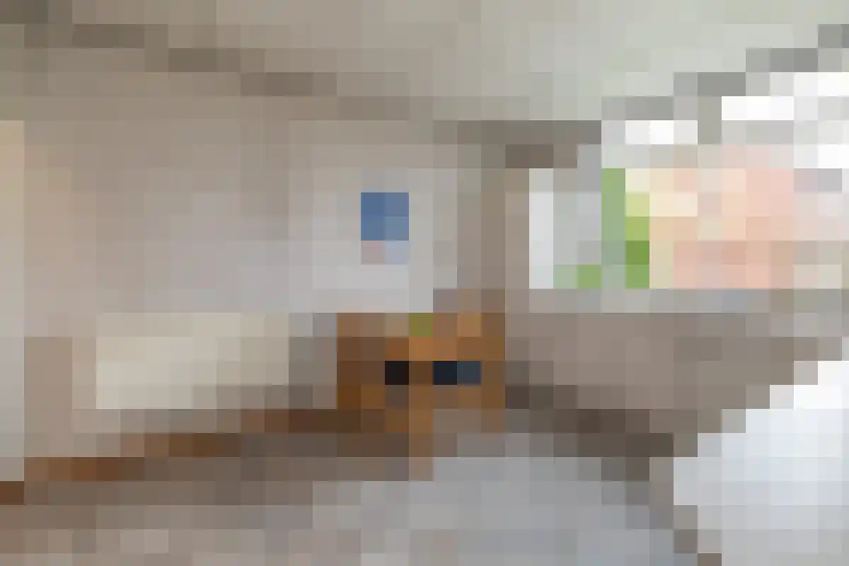 Diergaarde 14 Ulft thumbnail 13