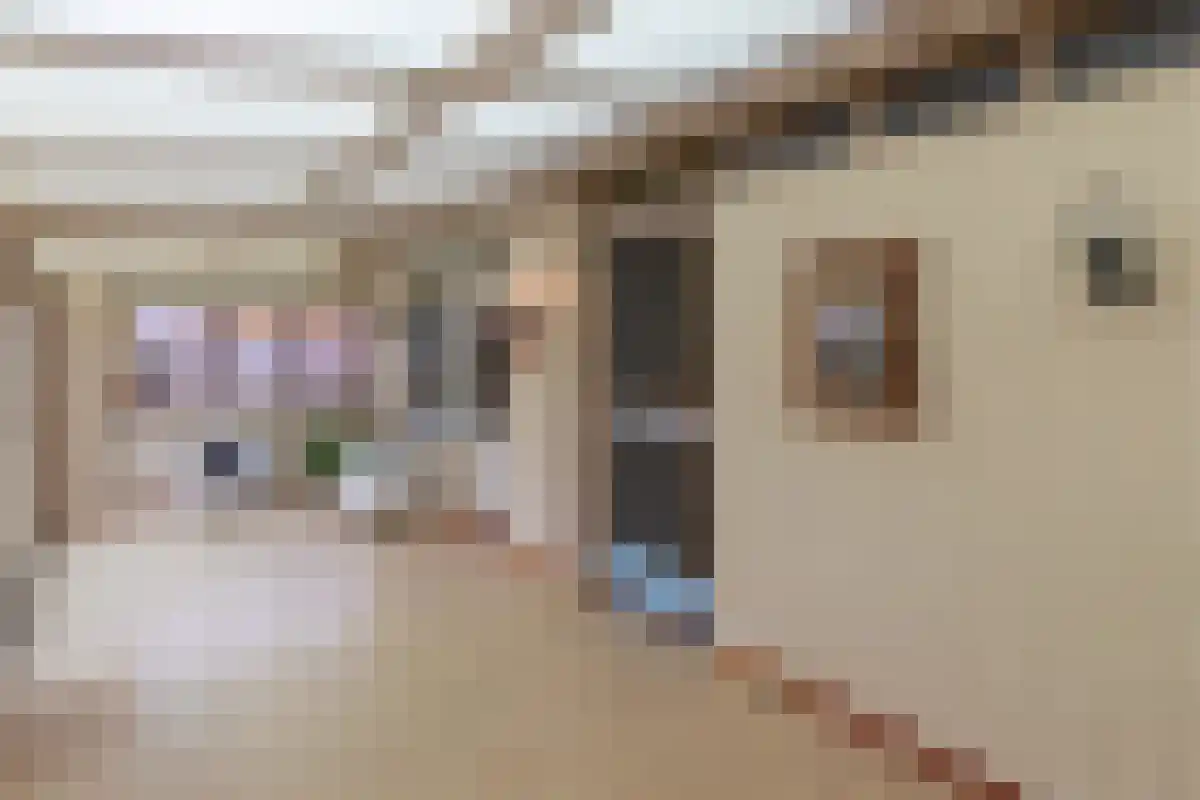 Diergaarde 14 Ulft thumbnail 26