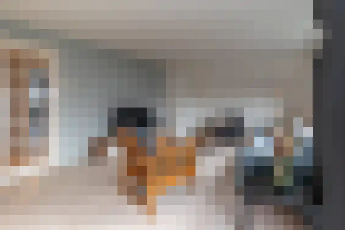 Diergaarde 14 Ulft thumbnail 30