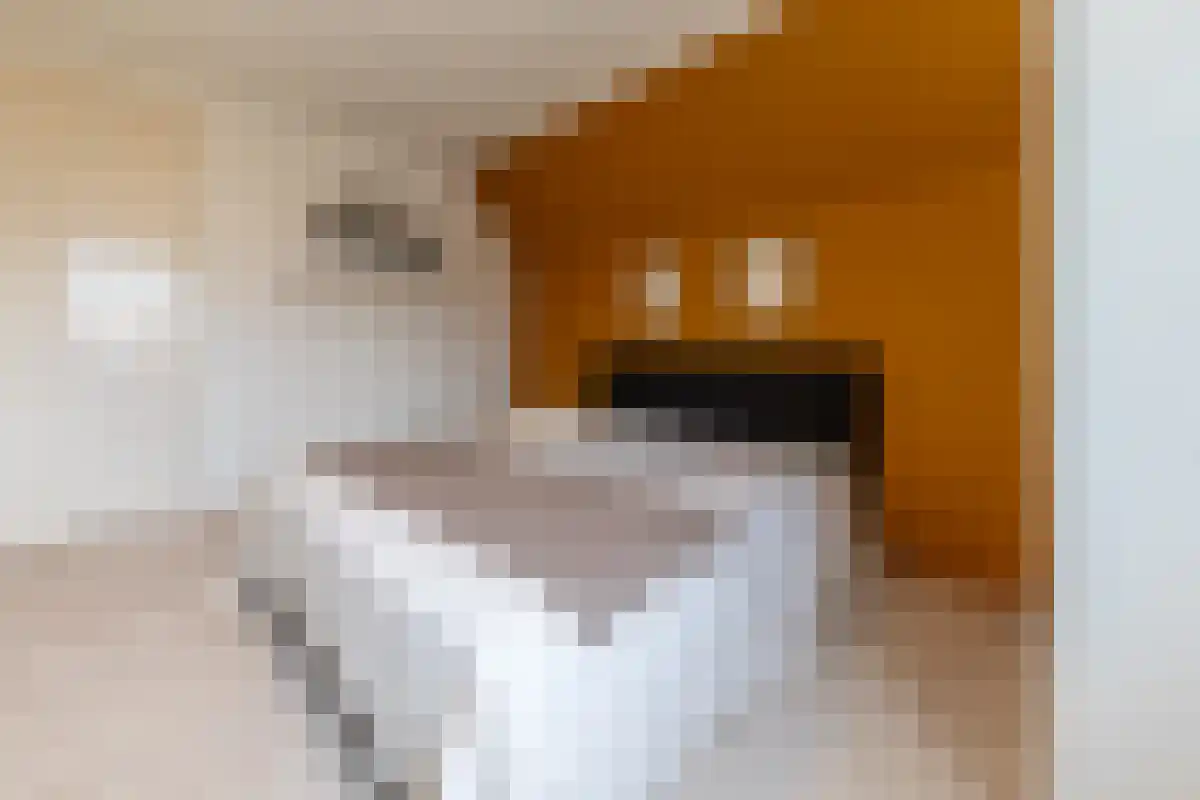 Diergaarde 14 Ulft thumbnail 39