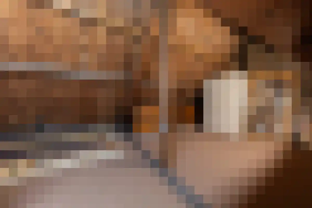 Diergaarde 14 Ulft thumbnail 45