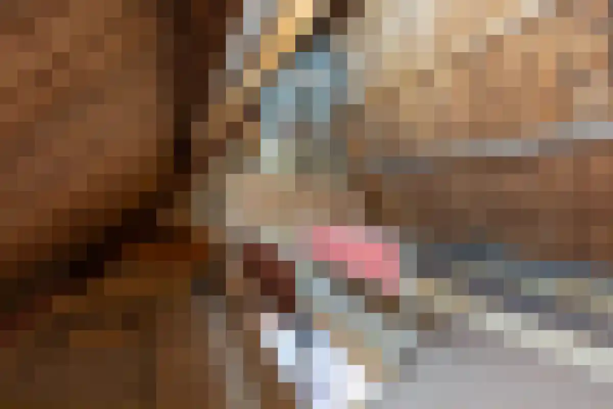 Diergaarde 14 Ulft thumbnail 46