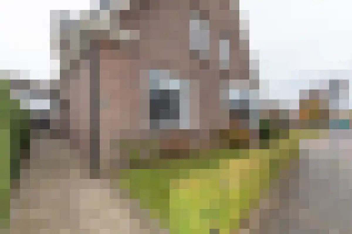 Diergaarde 14 Ulft thumbnail 7