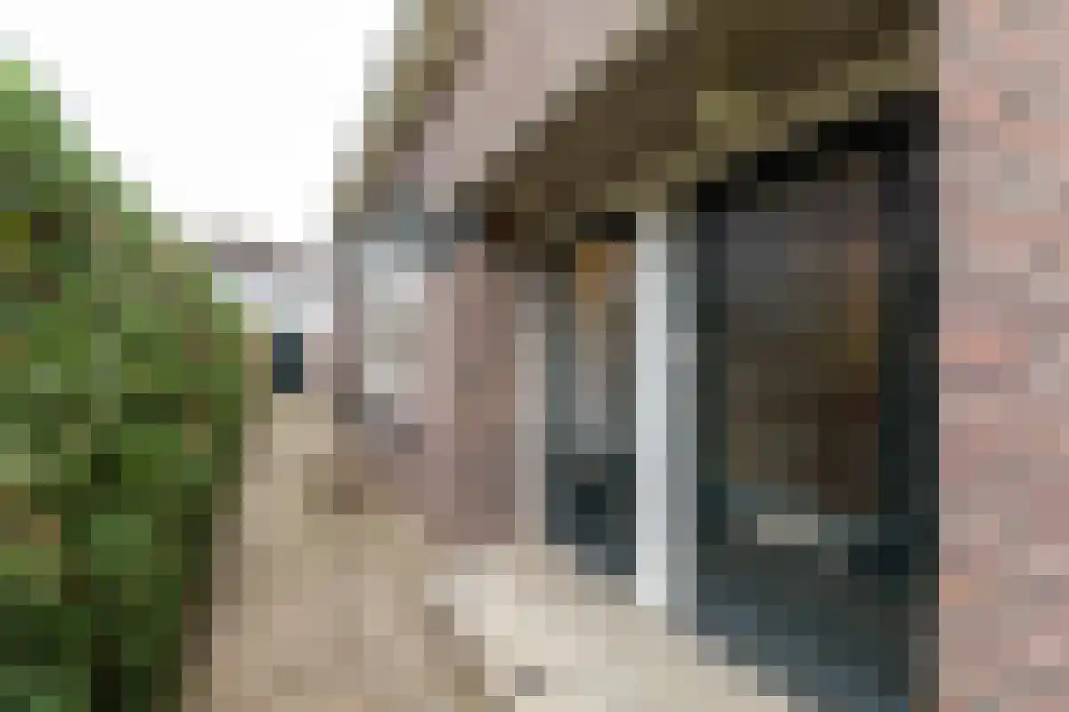 Diergaarde 14 Ulft thumbnail 9