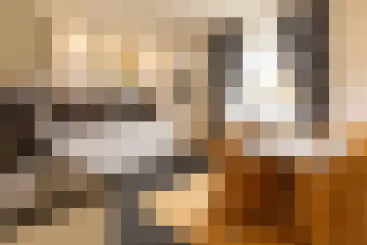 Diergaarde 18 Ulft thumbnail 17