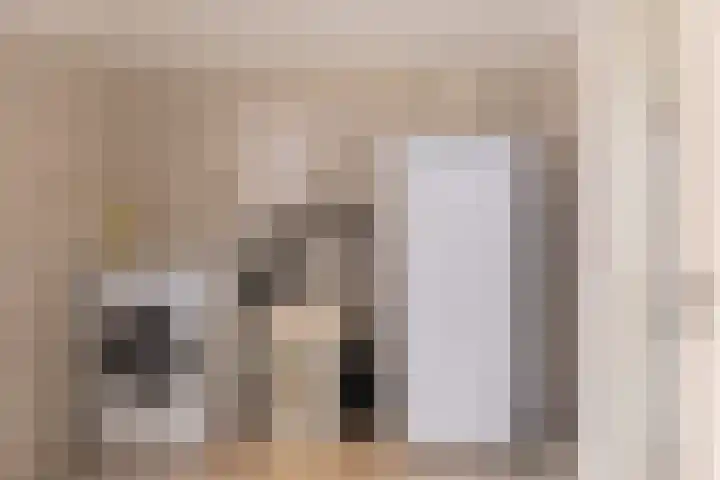 Diergaarde 18 Ulft thumbnail 21